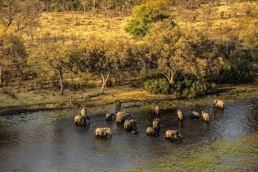 Частный заповедник Selinda Reserve