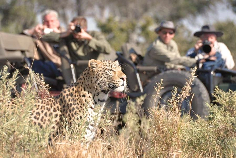 Частный заповедник Selinda Reserve