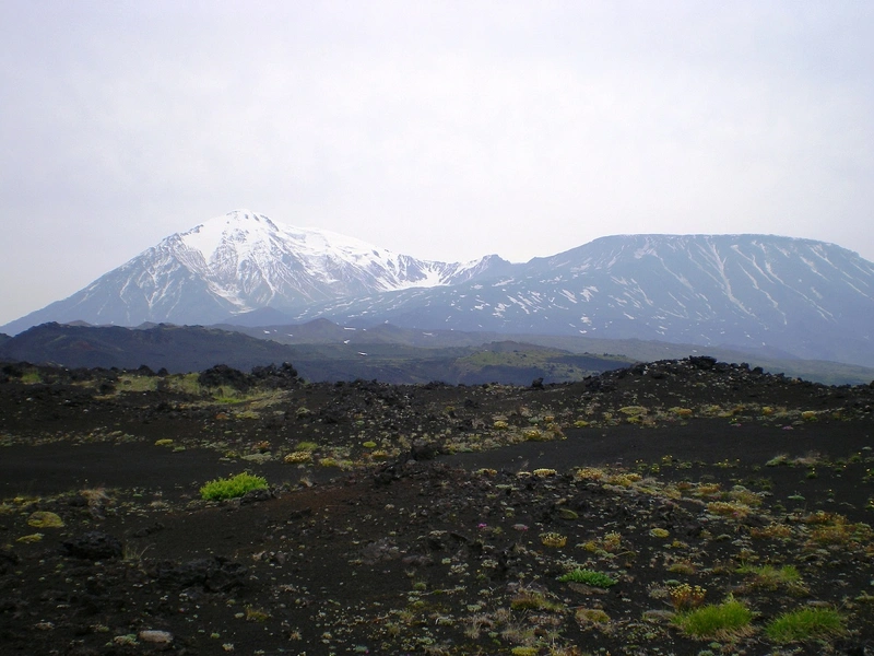 Восхождение на Толбачик Плоский Толбачик, Камчатка, лавовый лес