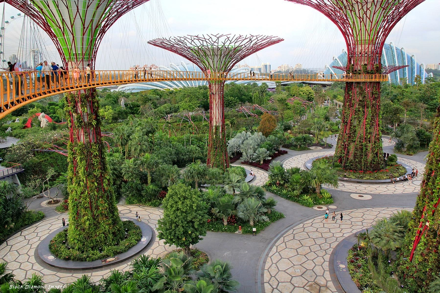 Gardens by the Bay